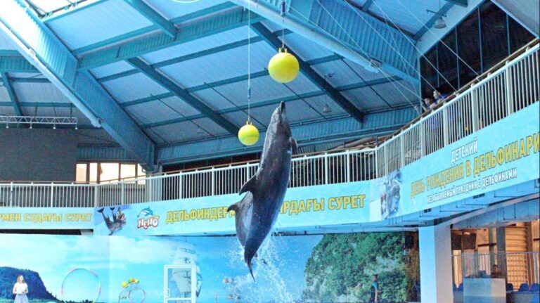 Almaty Dolphinarium “NEMO”