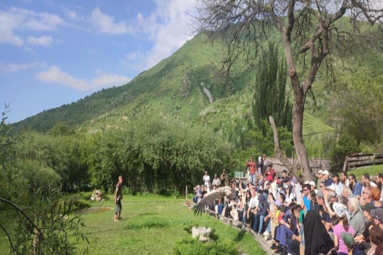 Falcon Farm Sunkar Almaty