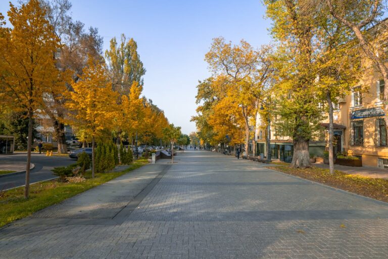 Panfilov Walking Street