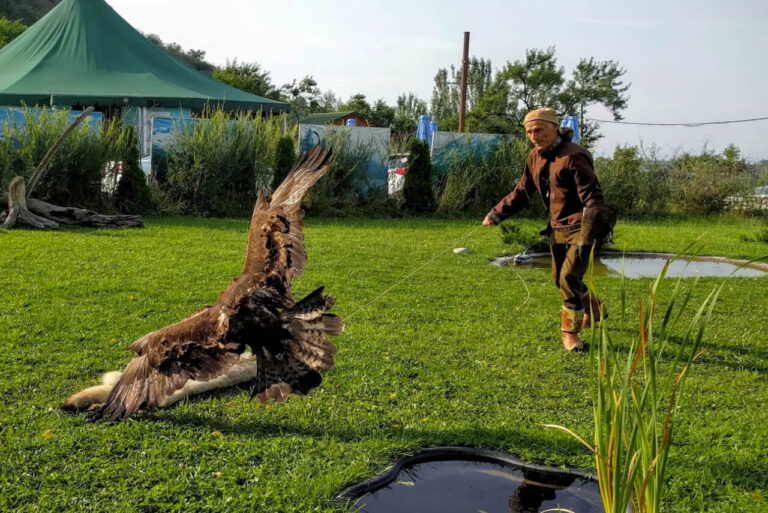 Sunkar Raptor Center
