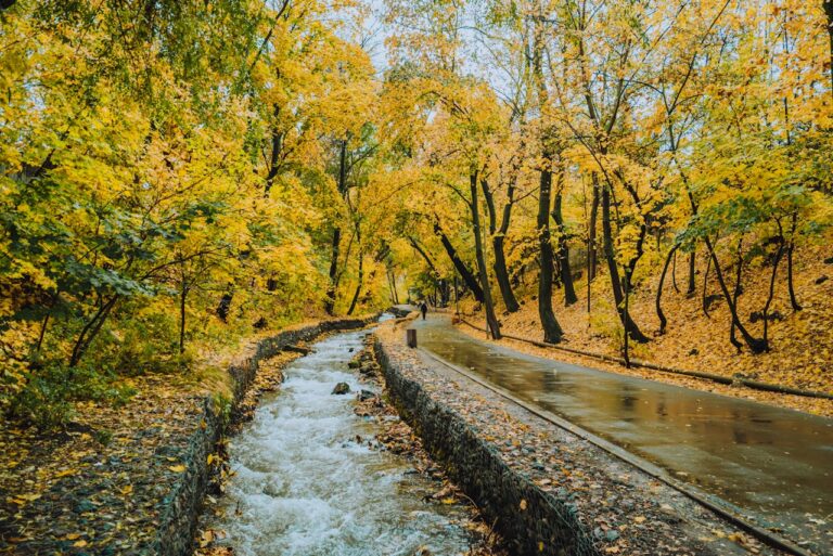 Almaty Health Path