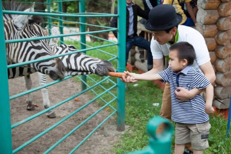 Zeebra in Almaty Zoo