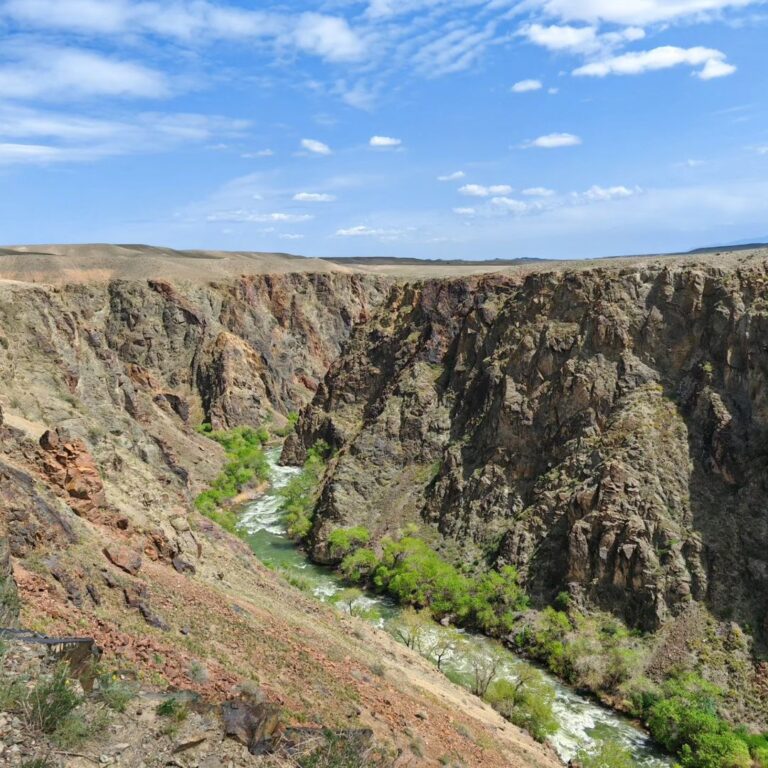 black canyon almaty