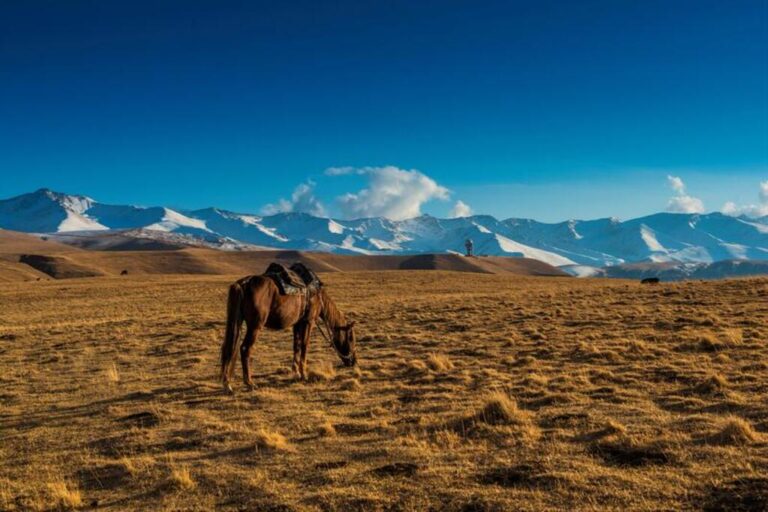 Assy Plateau Kazakh