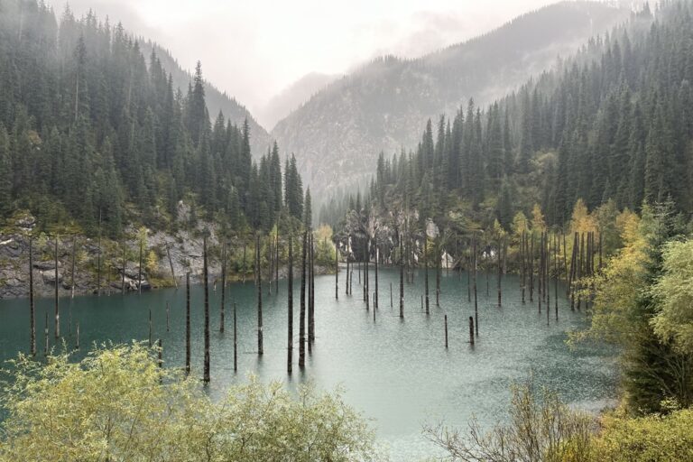 lake kaindy Almaty kazakhstan