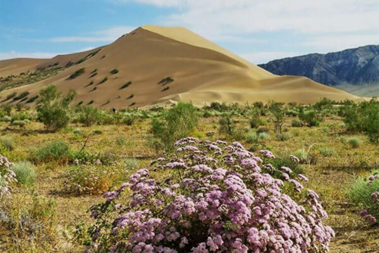 singing dune in Altyn-Emel National park