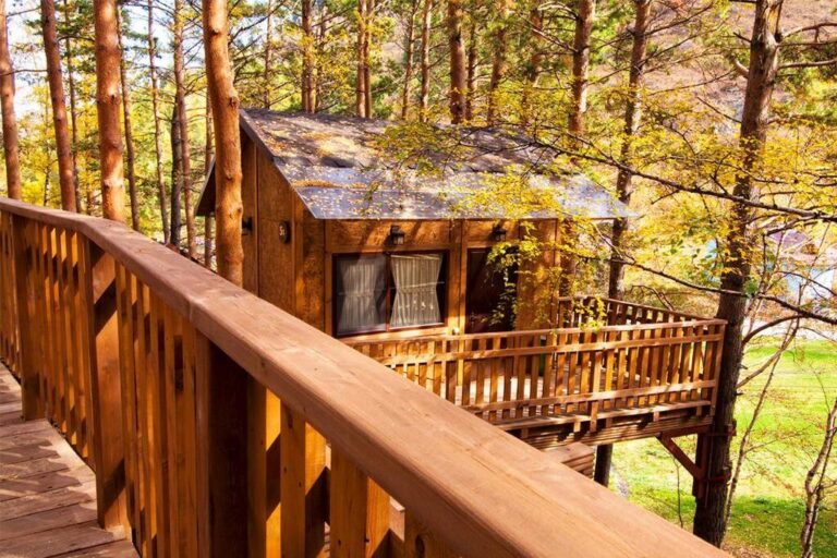 standard treehouse in Oi-Qaragai Mountain Resort